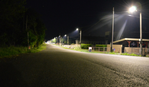Horovská 