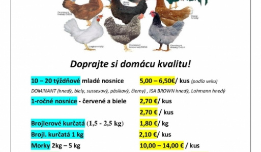 Valentínsky ples 2018
