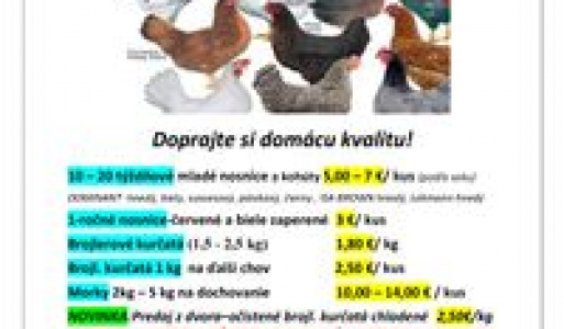 Valentínsky ples 2018