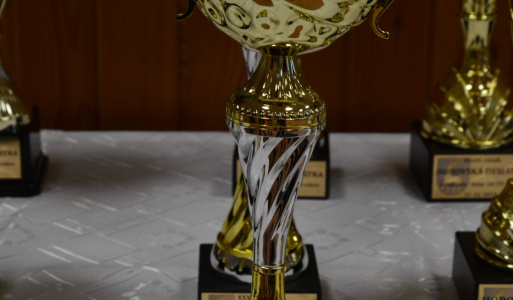 Silvestrovský beh - Horovská 