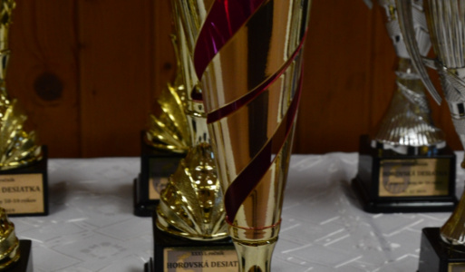 Silvestrovský beh - Horovská 