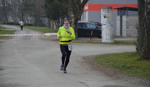 Silvestrovský beh - Horovská 