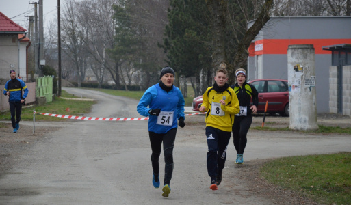 Silvestrovský beh - Horovská 