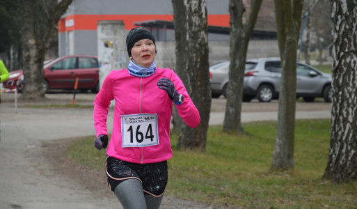 Silvestrovský beh - Horovská 