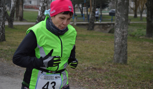 Silvestrovský beh - Horovská 