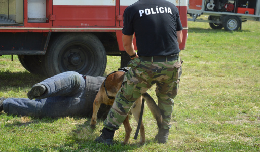 Horovce - Horovčanom  - Zvonica, pamätná tabuľa Zvonica. tabuľa