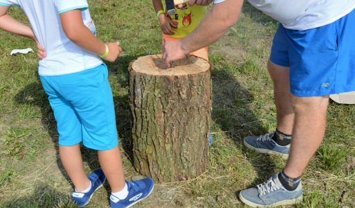 Horovce-Horovčanom- Ocenenie, vystúpenie prímas, zaver