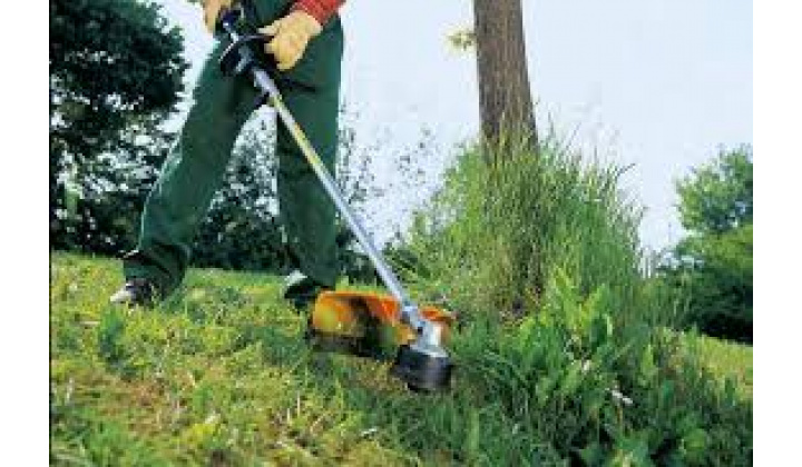 Fotka pre článok Kosenie cintorína - OZNAM !