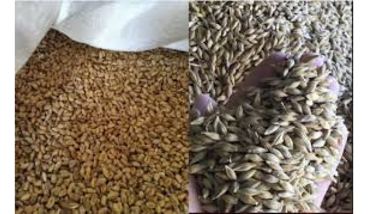 Fotka pre článok OZNAM -  AGROVES  vydaj naturálií